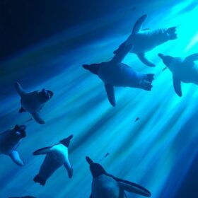 ブルーライトと睡眠について